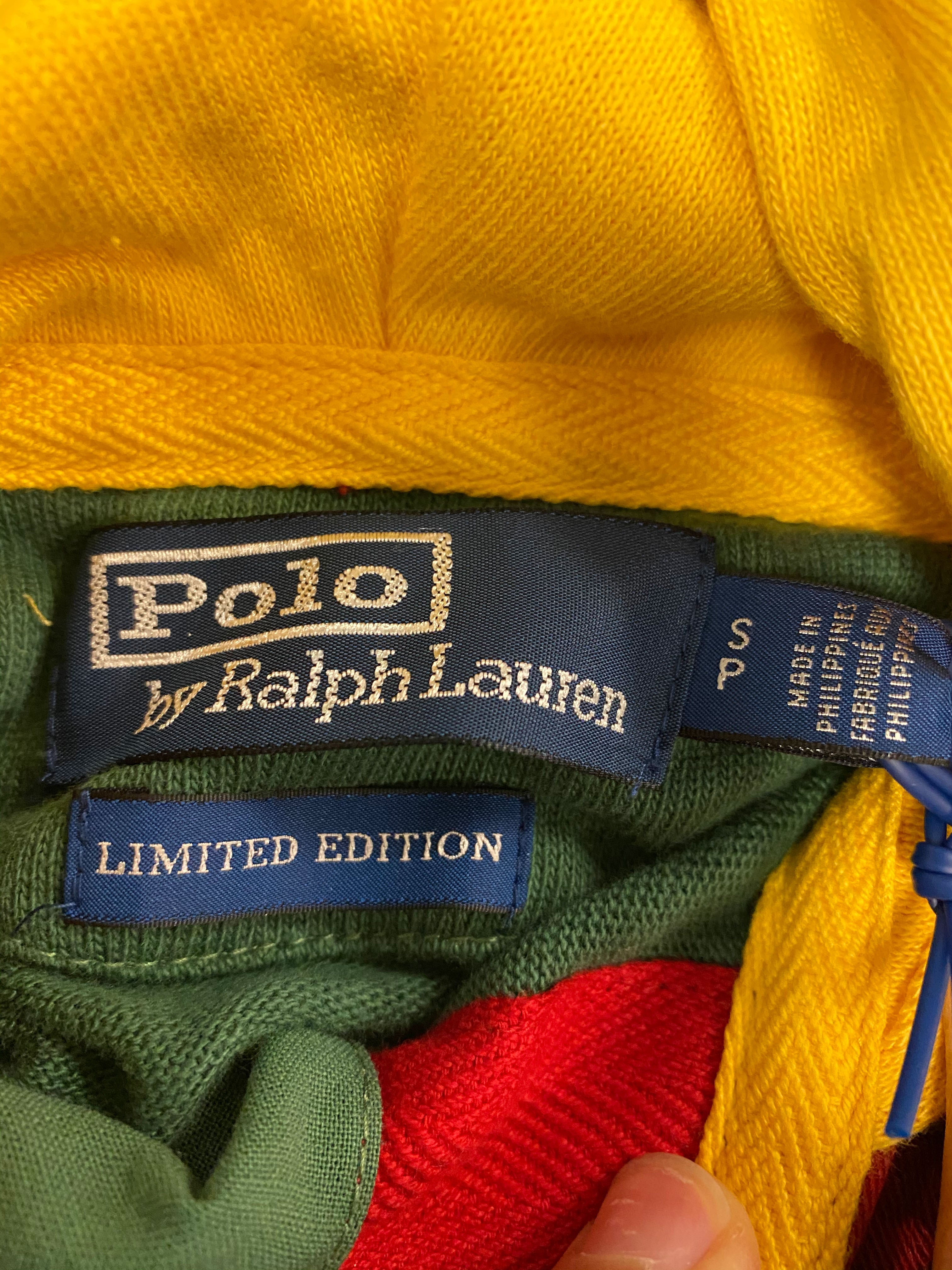 Polo by Ralph Lauren Snow Beach Hooded Long Sleeve Polo - Green Color Block