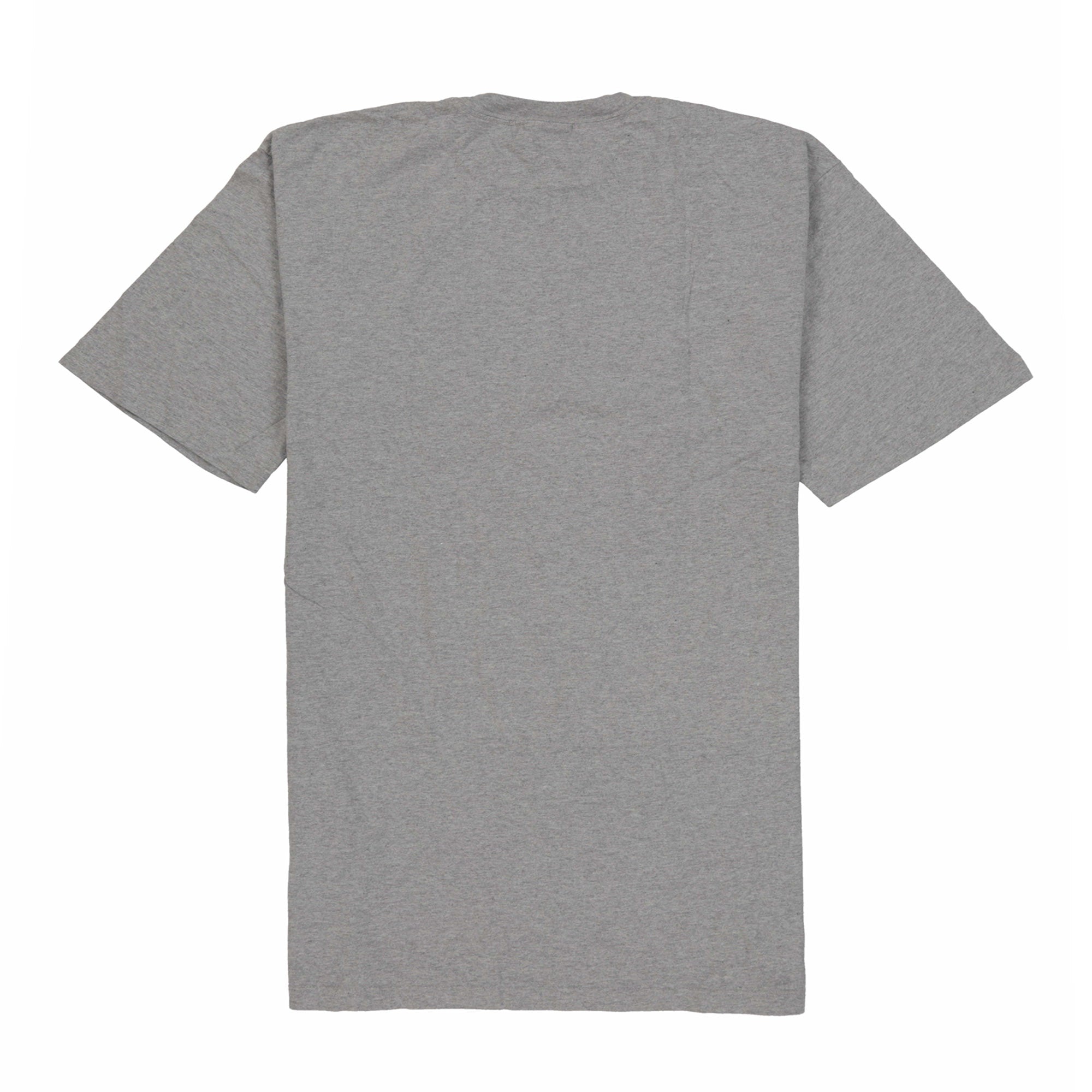 POLO SPORT EAGLE SPELL OUT LS TEE // HEATHER GREY